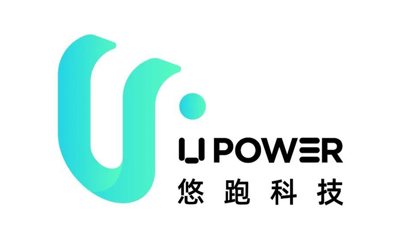 Partner 6